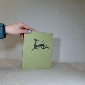 Prales kouzelných snů