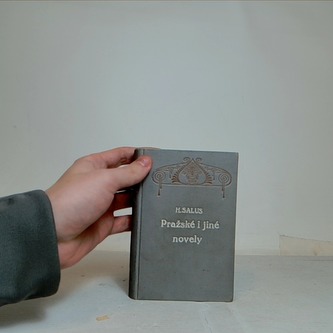 Pražské i jiné novely