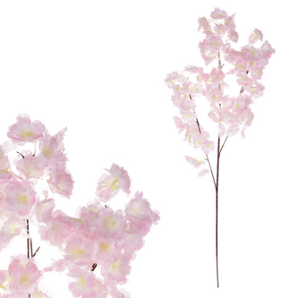 Třešeň, větev, růžová barva.