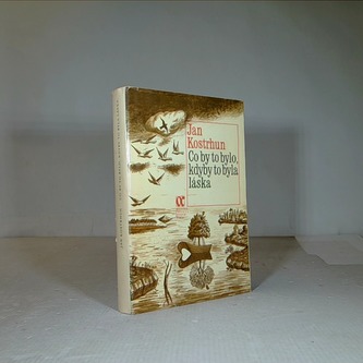 Co by to bylo, kdyby to byla láska