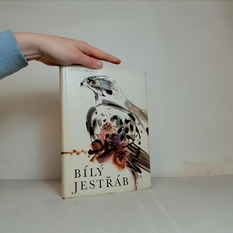 Bílý Jestřáb