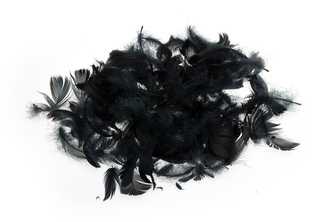 Dekorační pírka ČERNÁ