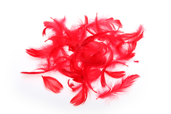 Dekorační pírka ČERVENÁ