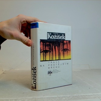 tráva na protějším břehu