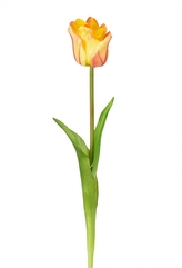 Tulipán růžovo-oranžový 47 cm