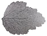 Prostírání LEHTI stříbrná 36x47 cm Mybesthome