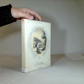 Chlapec ze Salcburku