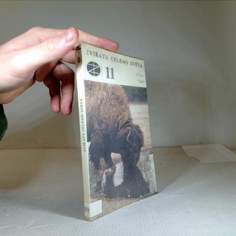 Zvířata celého světa 11