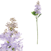 Šeřík, sv.fialová barva.