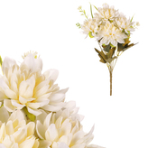 Jiřiny v pugetu, krémová barva.