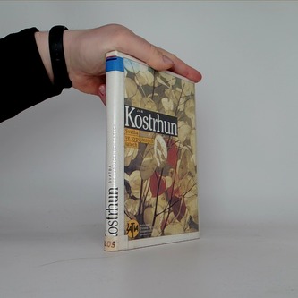 Svatba ve vypůjčených šatech