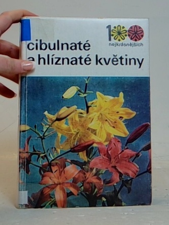 Cibulnaté a hlíznaté květiny