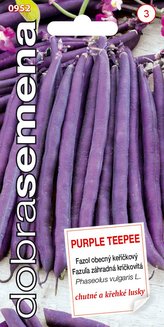 Dobrá semena Fazol keříčkový - Purple Teepee 10g