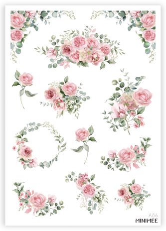 Sbírka romantických růží