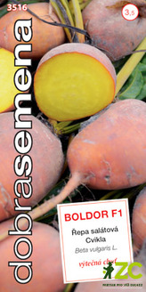 Dobrá semena Řepa salát. - Boldor F1 žlutá 60s (ZÁRUKA 2024)