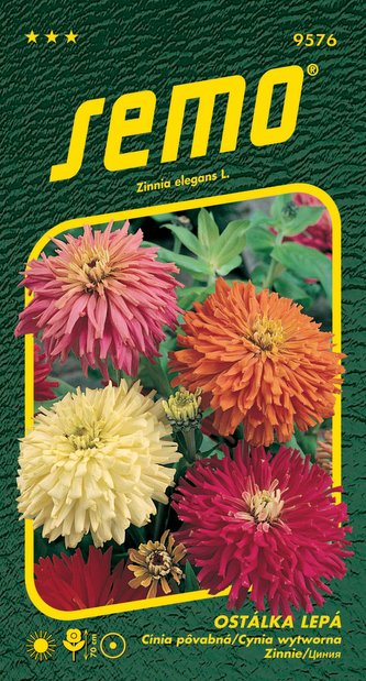 Ostálka lepá - kaktusokvětá (směs) 0,7g