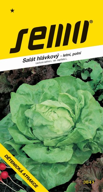 Salát letní - Dětenická atrakce polní 0,6g