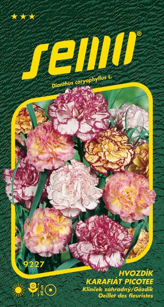 Hvozdík karafiát Chabaudův - Picotee 0,25g