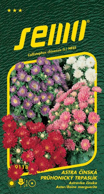 Astra čínská - Pinocchio směs 0,3g