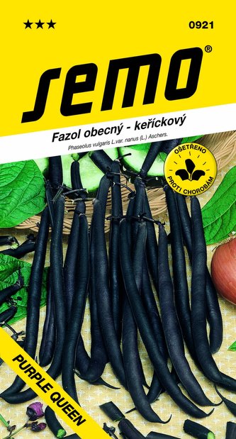 Fazol keř. fialový - Purple Queen 10g