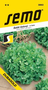 Salát kadeřavý k řezu - Dubagold 0,6g