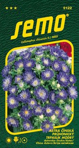 Astra čínská - Pinocchio modrý (Průhonický trpaslík) 0,3g (ZÁRUKA 2024)