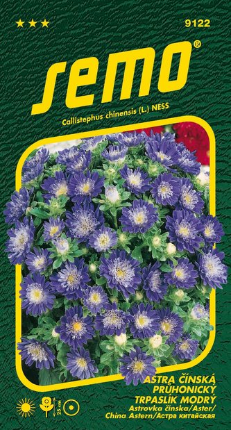 Astra čínská - Pinocchio modrý (Průhonický trpaslík) 0,3g (ZÁRUKA 2024)