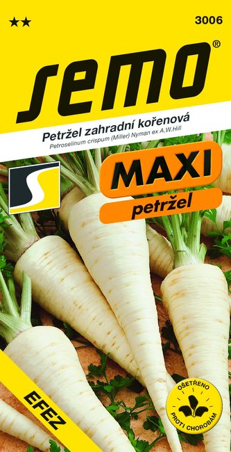 Petržel kořenová - Efez 3g - série MAXI