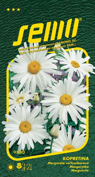 Kopretina bílá - Shasta Daisy 0,8g