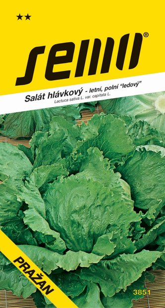 Salát ledový - Pražan polní 0,6g