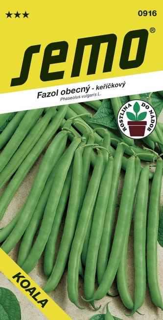 Fazol keř. zelený -  Koala 7g - série DO NÁDOB