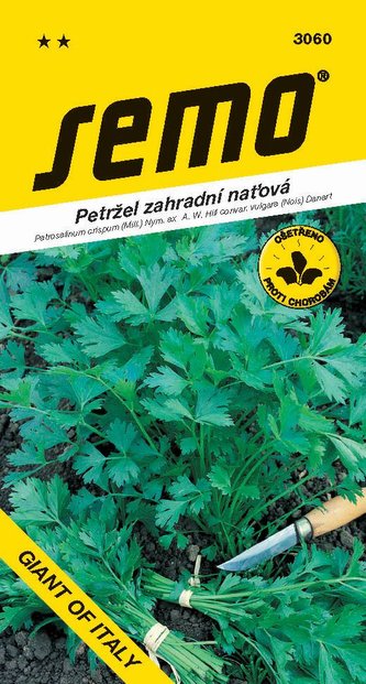 Petržel naťová - Gigante d´Italia hladká 4g