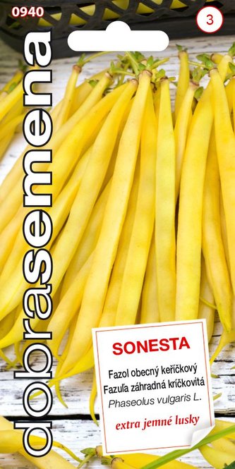 Dobrá semena Fazol keříčkový - Sonesta 10g