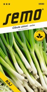 Cibule sečka - Kaj zimní, celoročně pro nať 1,8g