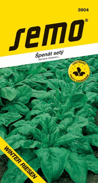 Špenát - Winterriesen 2g