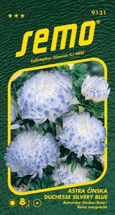 Astra čínská - Duchesse silvery blue 0,5g