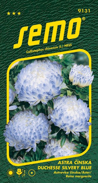Astra čínská - Duchesse silvery blue 0,5g