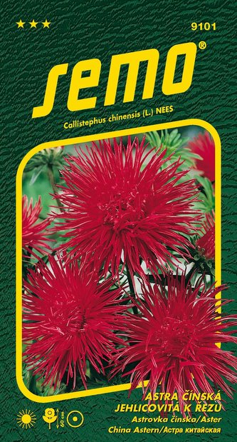 Astra čínská - Jehlicovitá Electric červená 0,5g (ZÁRUKA 2024)