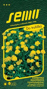 Kopretina balkonová - Zlatovláska 0,3g