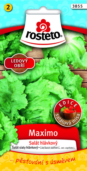 Rosteto Salát ledový - Maximo polní velký 0,5g