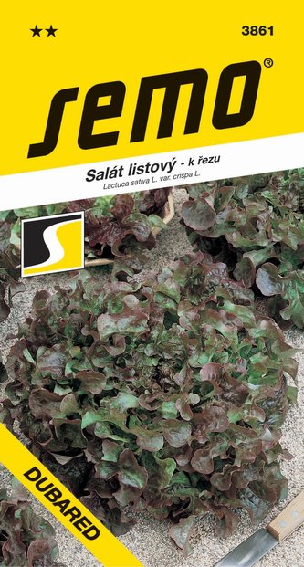 Salát kadeřavý k řezu - Dubared 0,6g