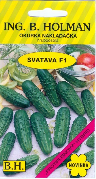 Okurka nakl. Holman - Svatava F1 hr 2 g