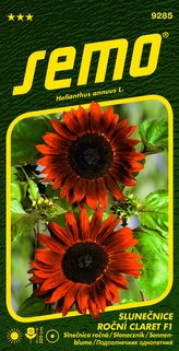 Slunečnice roční - Claret F1 8s