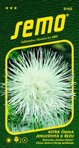Astra čínská - jehlicovitá Electric bílá 0,5g