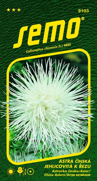Astra čínská - jehlicovitá Electric bílá 0,5g