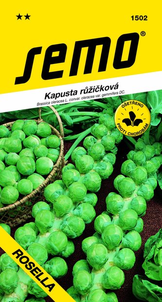 Kapusta růžičková - Groninger 0,8g