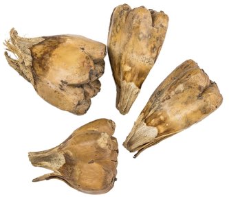 Dekorace - Jack Seed - 4 ks