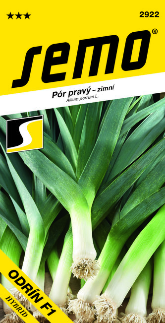 Pór zimní - Odrín F1 2g