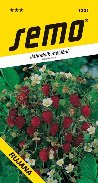 Jahodník měsíční - Rujána 0,2g