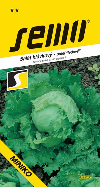 Salát ledový - Miniko polní menší 0,4g